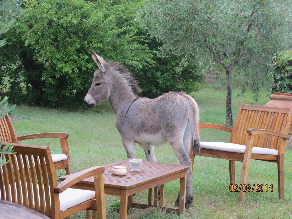 B&B Le Querciole Del Chianti Barberino Val d'Elsa Bagian luar foto